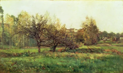 Paysage d
